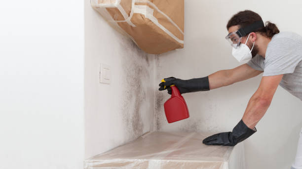Professional Basement Mold Removal technician working in Foster, VA