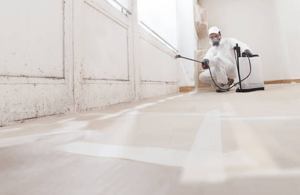 24/7 Emergency Basement Mold Removal experts in Foster, VA