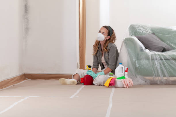 Reliable Basement Mold Removal contractor in Foster, VA by WQB Mold Removal